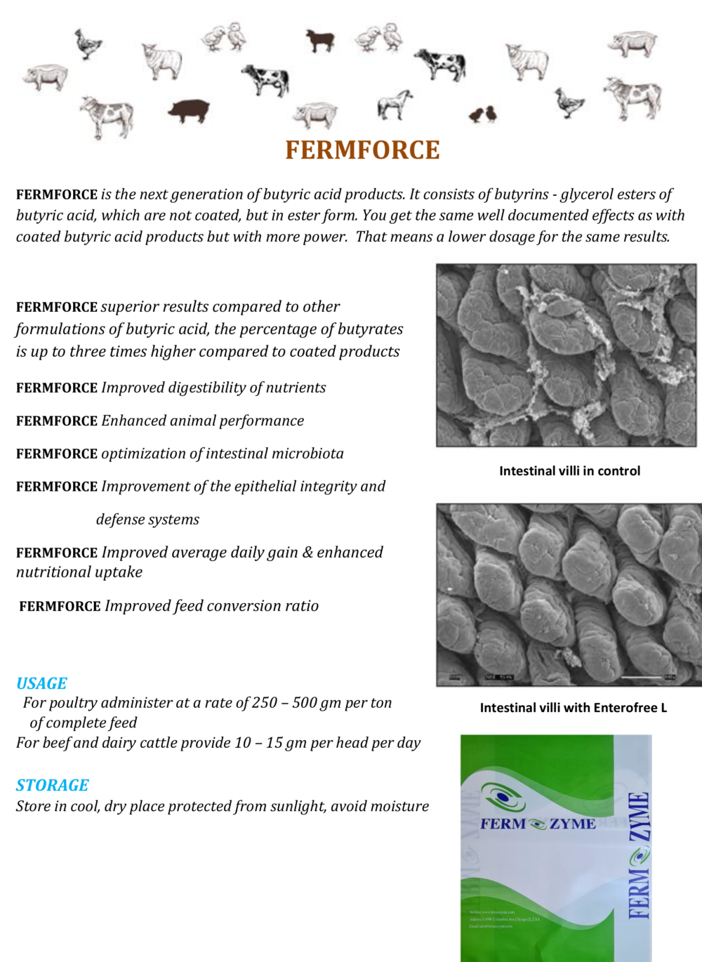 FERMFORCE site inf 28-2-2023